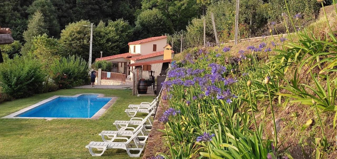 Villa Casa Do Ribeiro à Sever do Vouga Extérieur photo