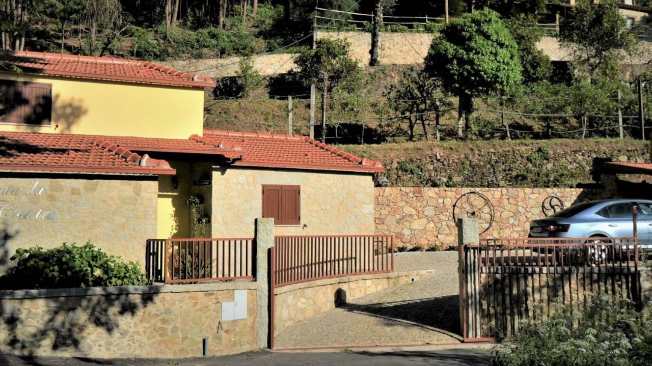 Villa Casa Do Ribeiro à Sever do Vouga Extérieur photo