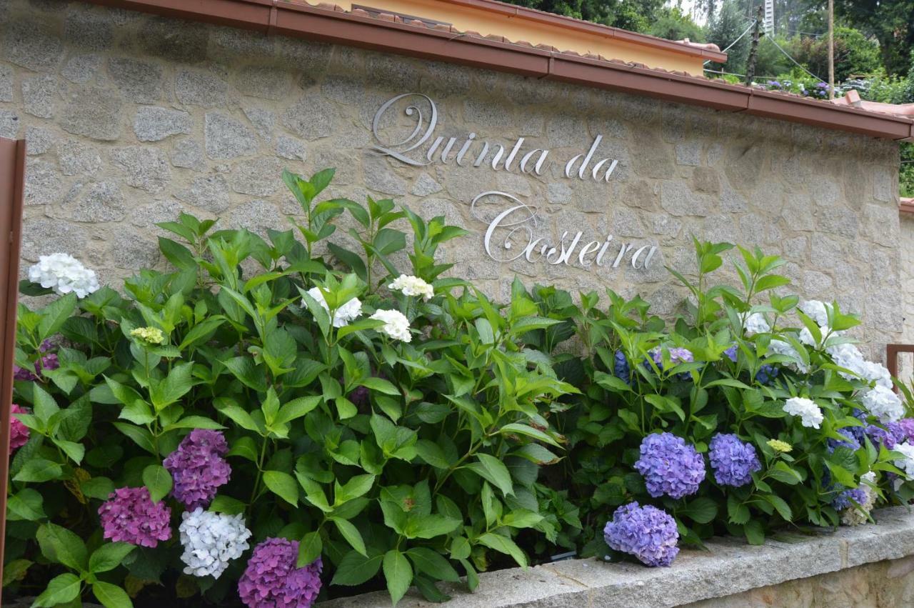 Villa Casa Do Ribeiro à Sever do Vouga Extérieur photo